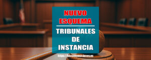 Esquema Tribunales de Instancia
