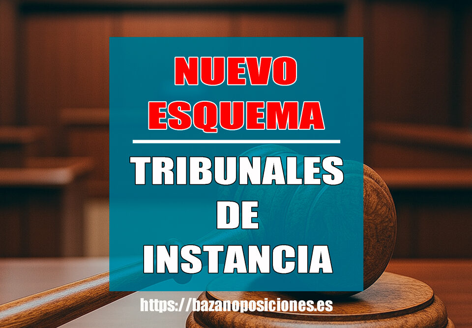 Esquema Tribunales de Instancia